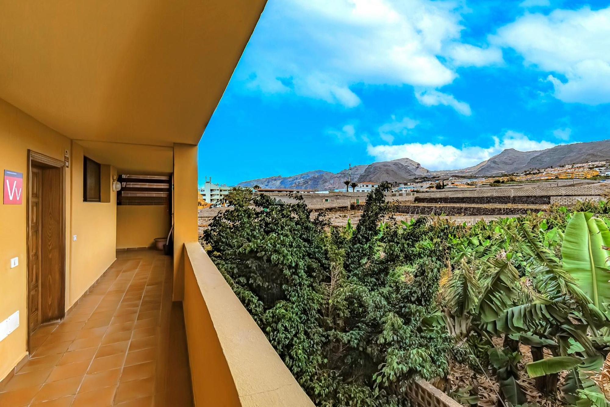 Sunflower Sea And Teide View Puerto de Santiago  Exteriér fotografie